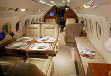 Falcon